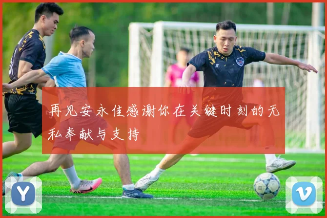 再见安永佳感谢你在关键时刻的无私奉献与支持