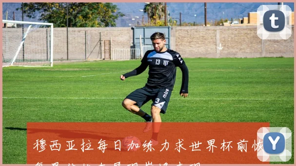 穆西亚拉每日加练力求世界杯前恢复最佳状态展现巅峰表现