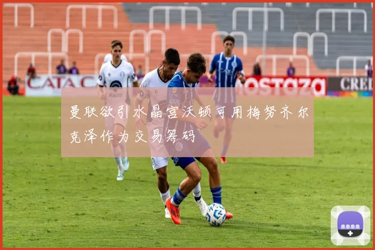 曼联欲引水晶宫沃顿可用梅努齐尔克泽作为交易筹码