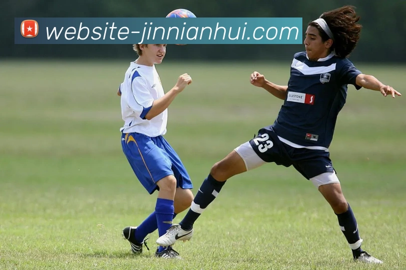 今年会官网平台生态图