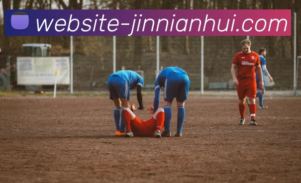 今年会官网APP 封面图